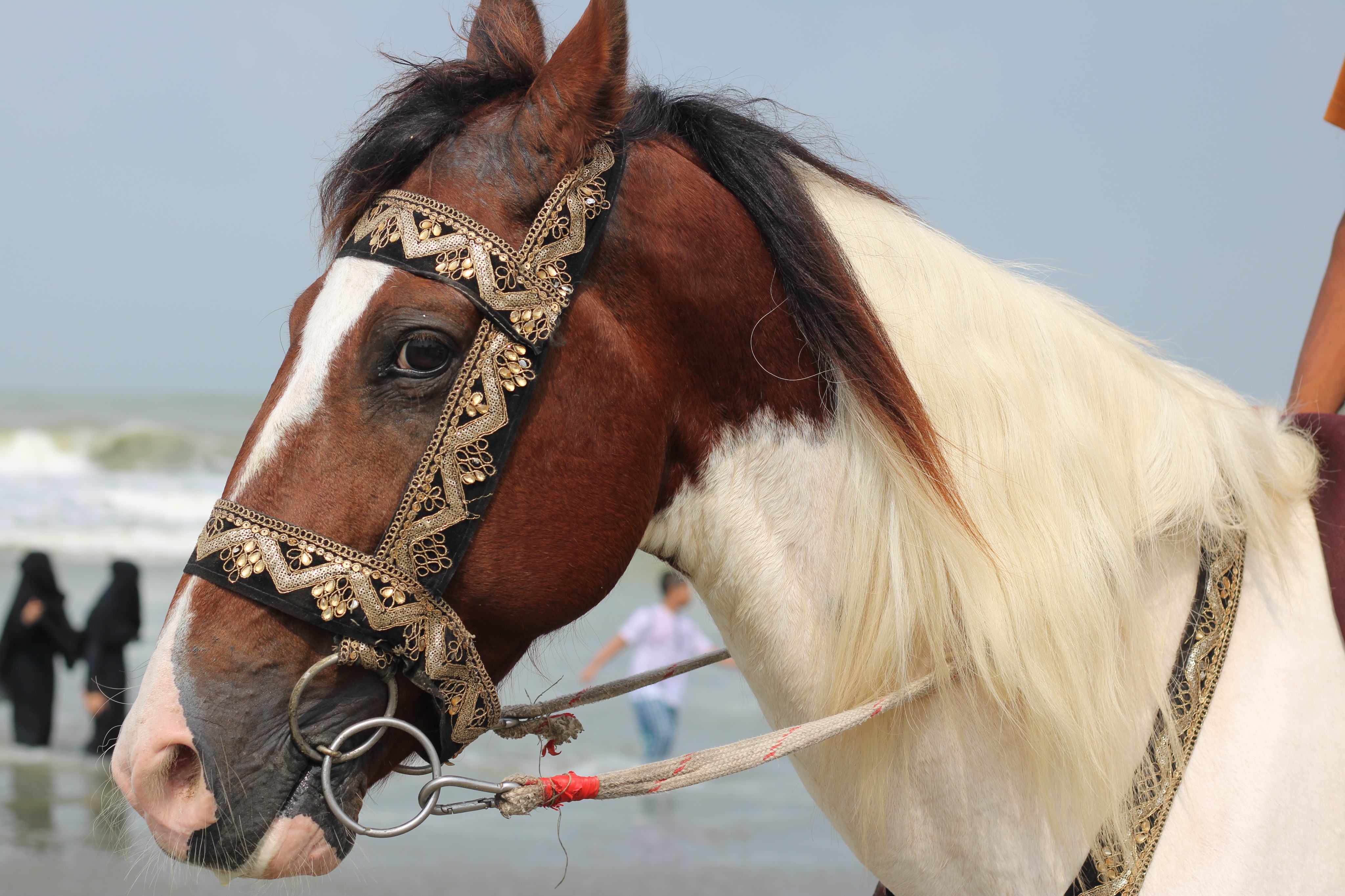 20220526190302_IMG_5109