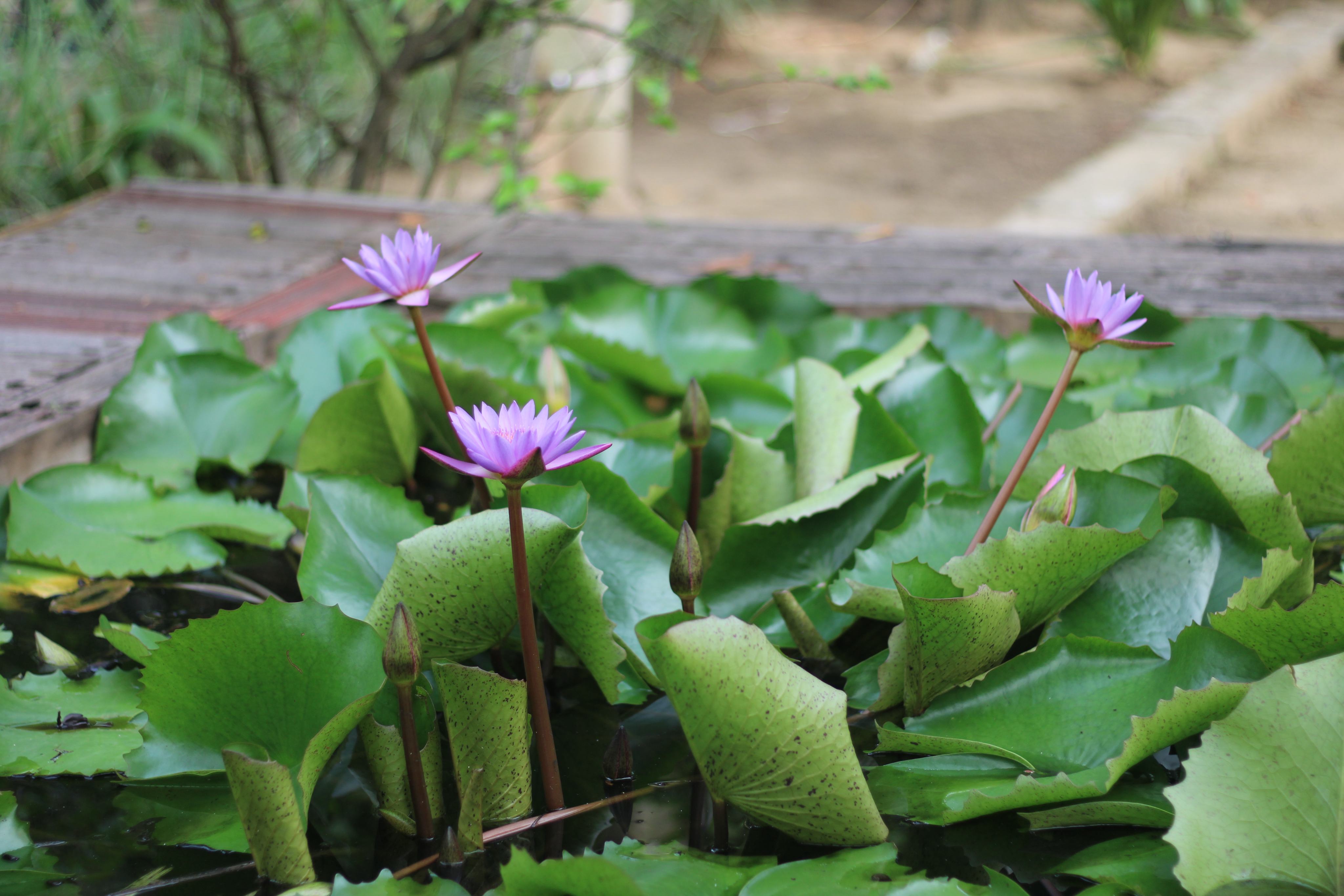 20220528031106_IMG_6131