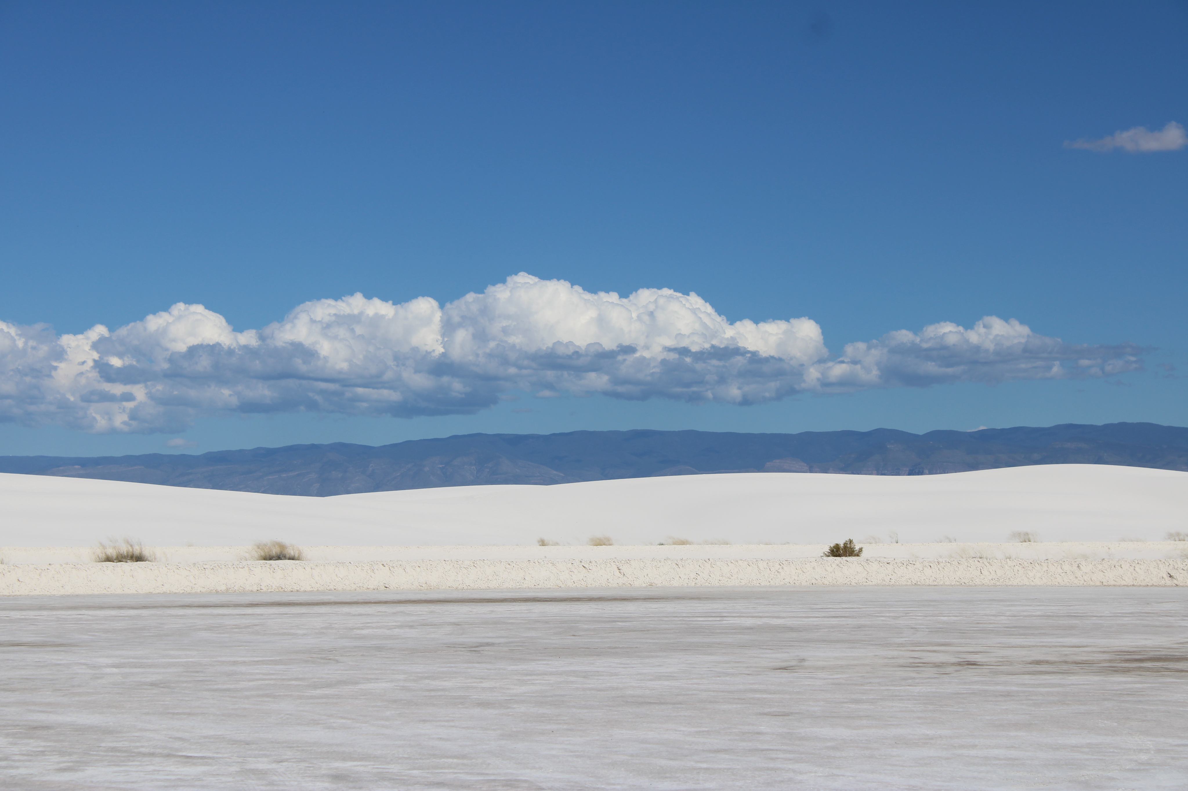 20220921131425_IMG_6596